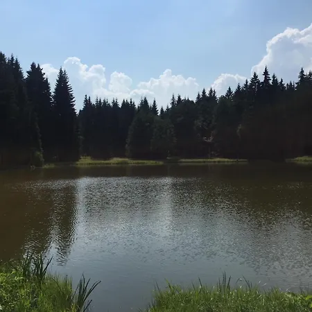 Affittacamere Kladska 12 *